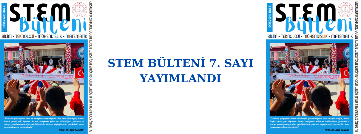 STEM BÜLTENİ 7. SAYI YAYIMLANDI